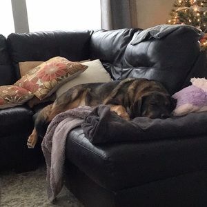 Meet your Posher, Robert